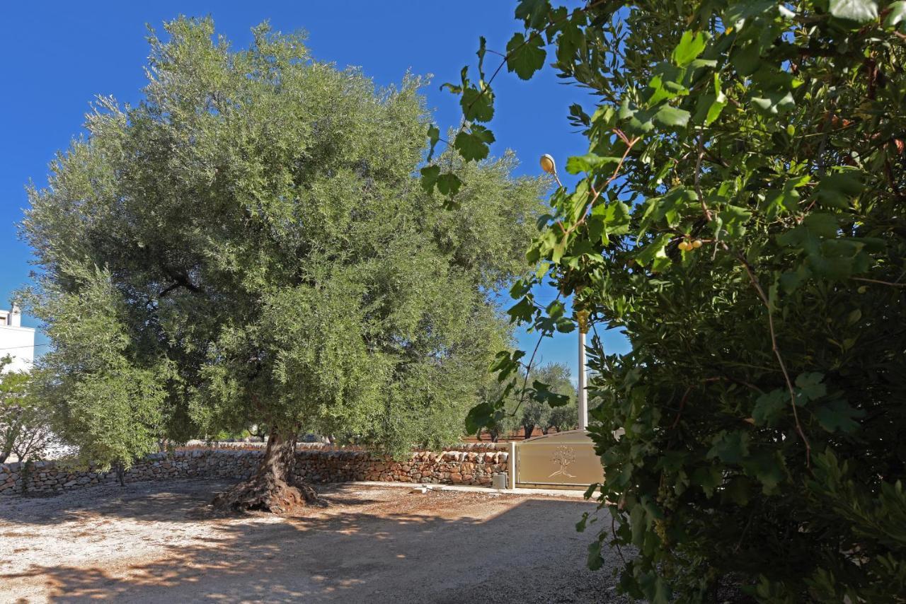Dimora Torre Bianca Ostuni Exterior foto